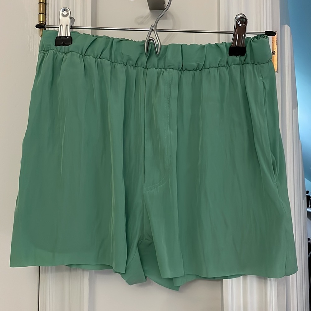 *never worn* Acne Mint Silk Shorts